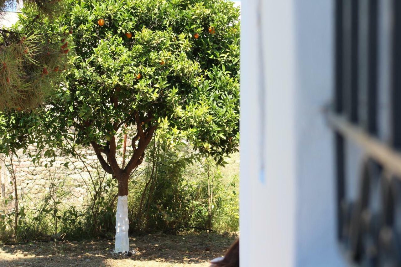Villa Orange Garden Egio Exterior foto